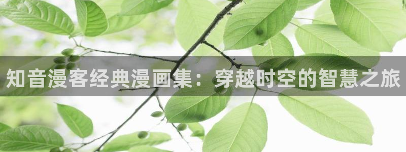 歪歪漫画全文免费观看在线：知音漫客经典漫画集：穿越时空的智慧之旅